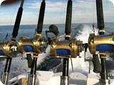 offshore-fishing11