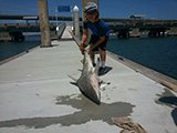 shark-fishing-st-augustine-09